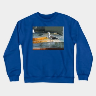 Seagull strut Crewneck Sweatshirt